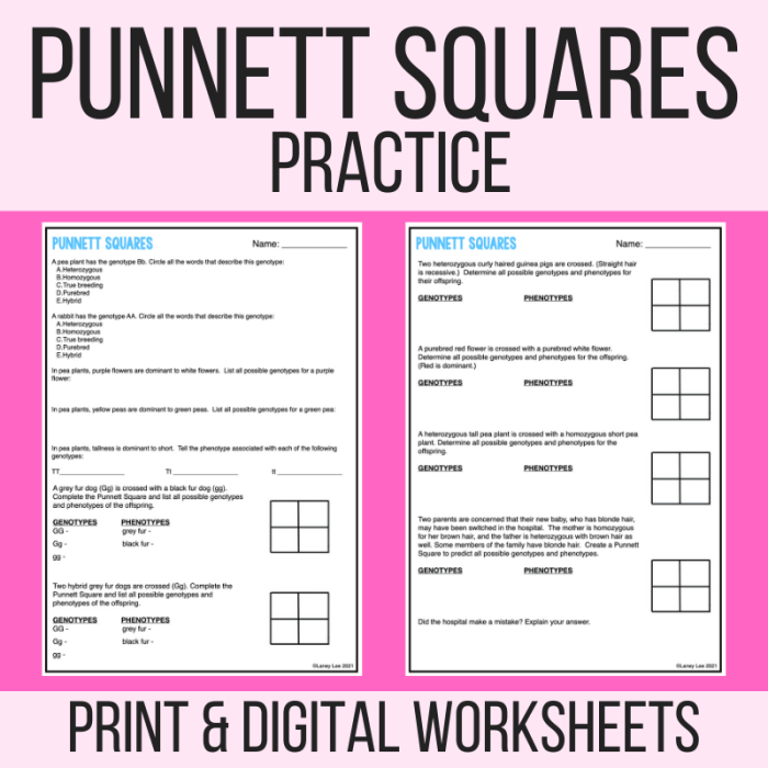 Punnett square riddle answer key