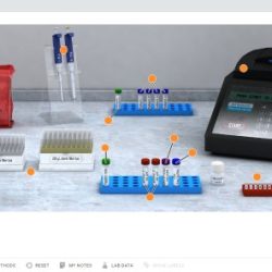 Bacterial identification virtual lab answers