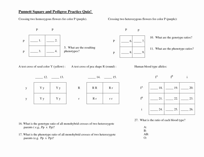 Punnett square riddle answer key