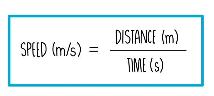 Determining speed and velocity worksheet