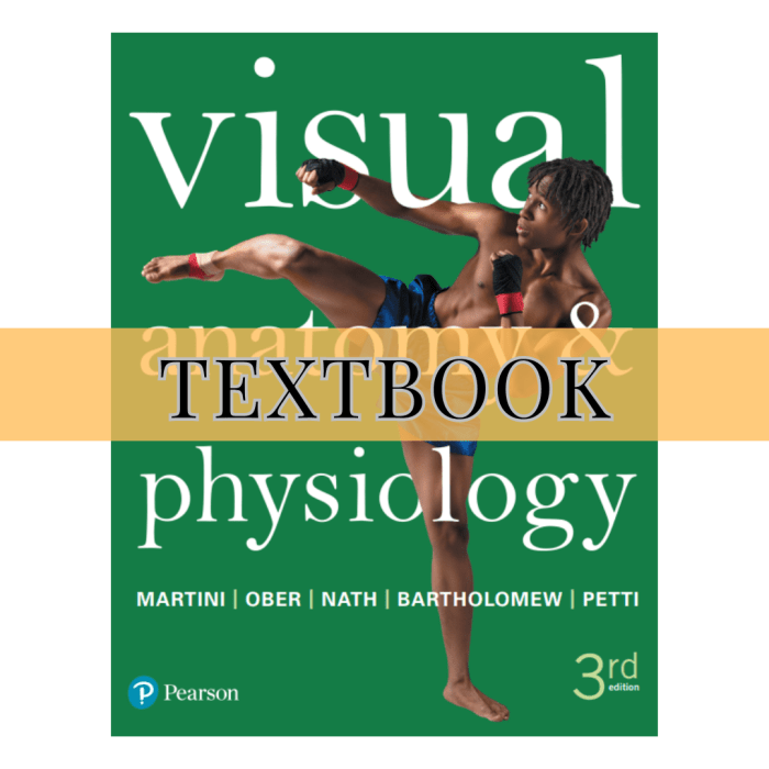 Visual anatomy and physiology 3rd edition ebook