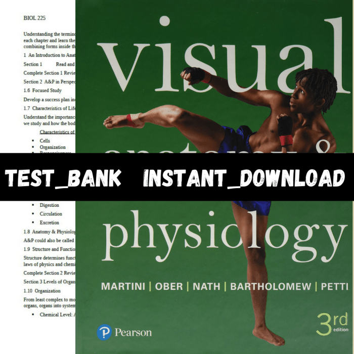 Visual anatomy and physiology 3rd edition ebook