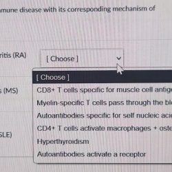 Autoimmune autoimmunity hpv vaccine diseases immunity shoenfeld