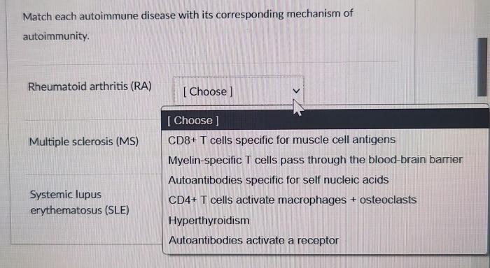 Autoimmune autoimmunity hpv vaccine diseases immunity shoenfeld