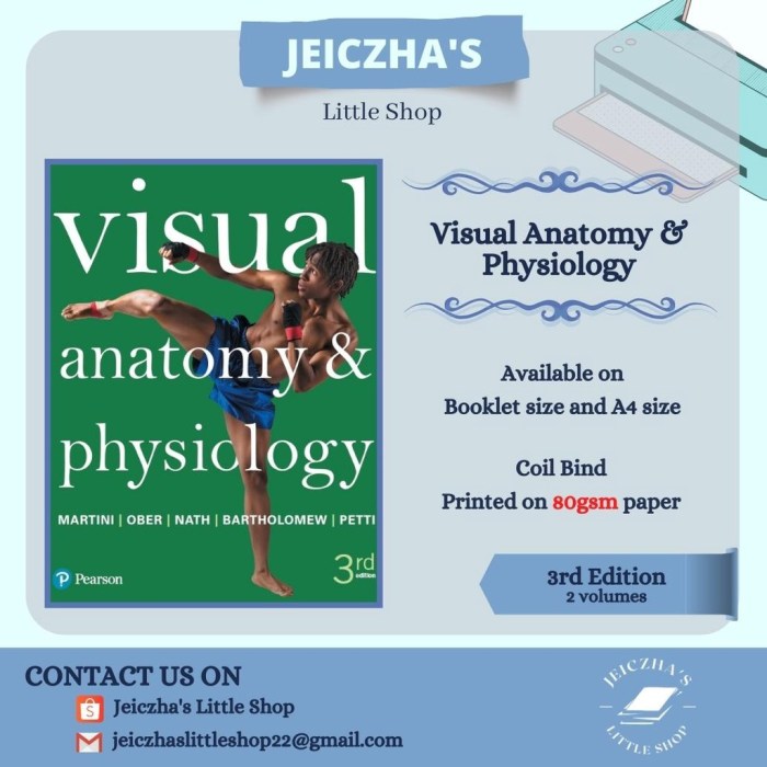 Visual anatomy and physiology 3rd edition ebook