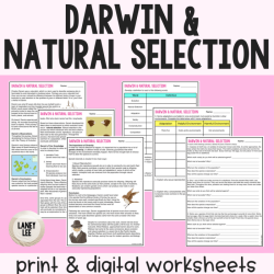 Evolution by natural selection worksheet answers pdf