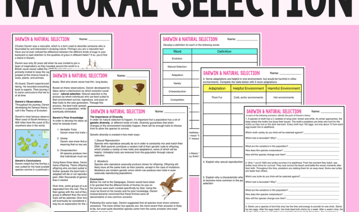 Evolution by natural selection worksheet answers pdf