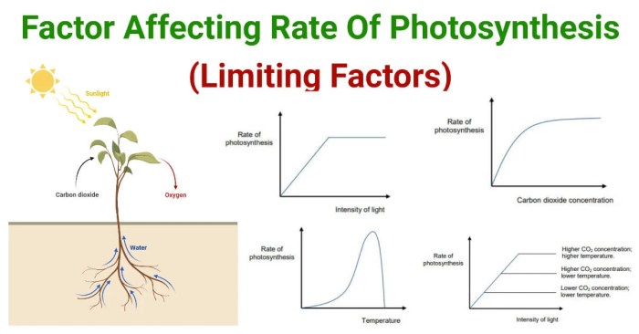 Select all factors that are ways in which you might