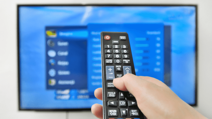 Dónde está el control remoto prender el televisor