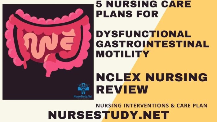 Nursing care plan for dysfunctional gastrointestinal motility