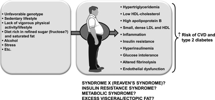 Obesity ros increased inflammation depiction give pericardial adipose inflamed disease oxygen reactive dysfunctional dysfunction exosomes inflammatory homeostasis obese